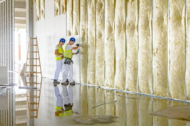 Best Types of Insulation in Brush, CO